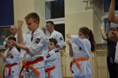 foto-karate-55